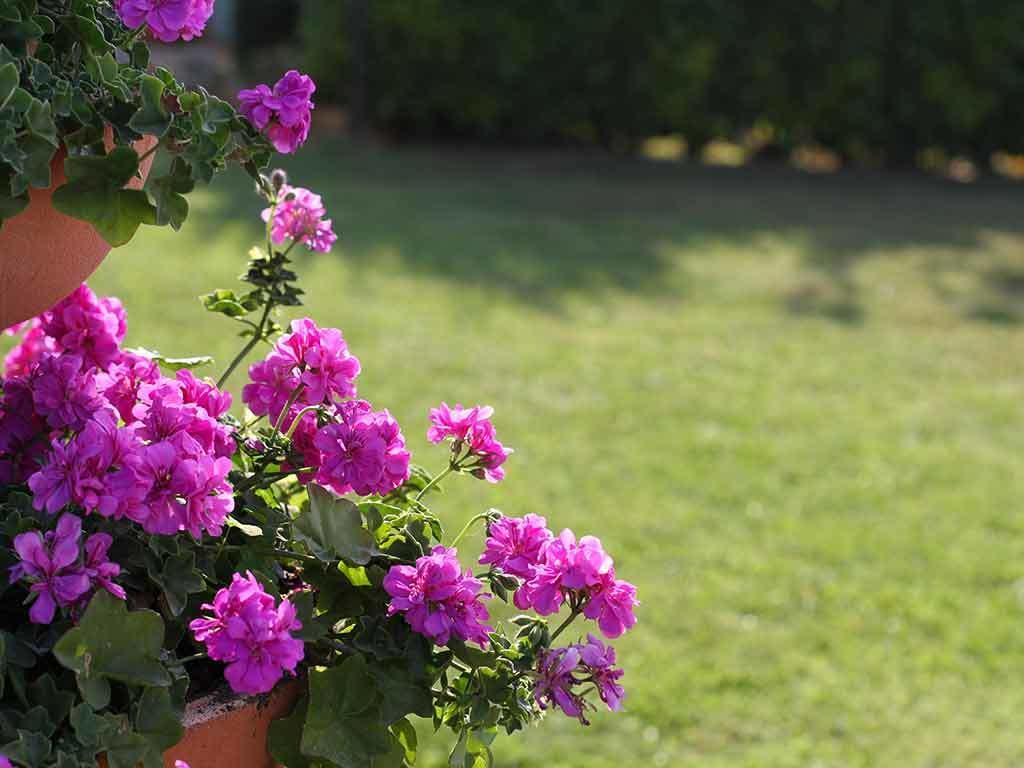 Da Rosa Bed And Breakfast Neviglie Exterior photo